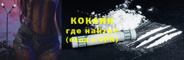 мдпв Козловка