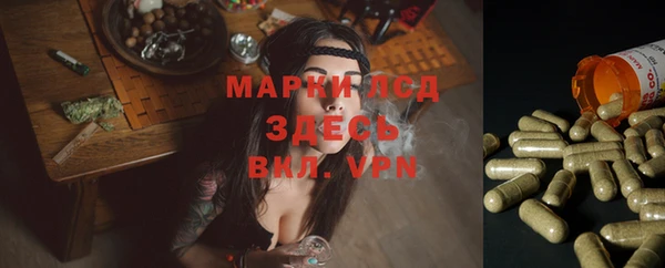 мдпв Козловка