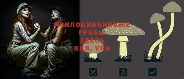 мдпв Козловка