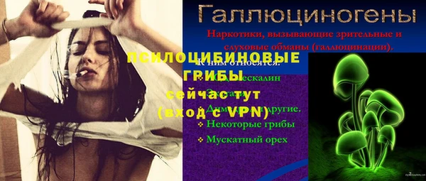 Альфа ПВП Курчалой