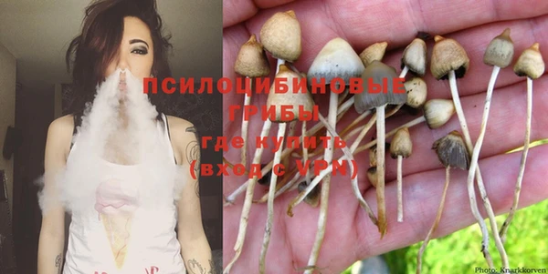 мдпв Козловка