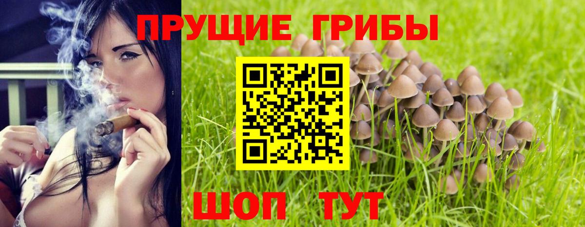 Псилоцибиновые грибы MAGIC MUSHROOMS Усинск